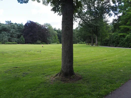 Fietsen en wandelen door het water van de Wijers, Bokrijk (België)